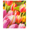 4660254474291    l,,140 . 2    . 10*12 PL-124715-BL2